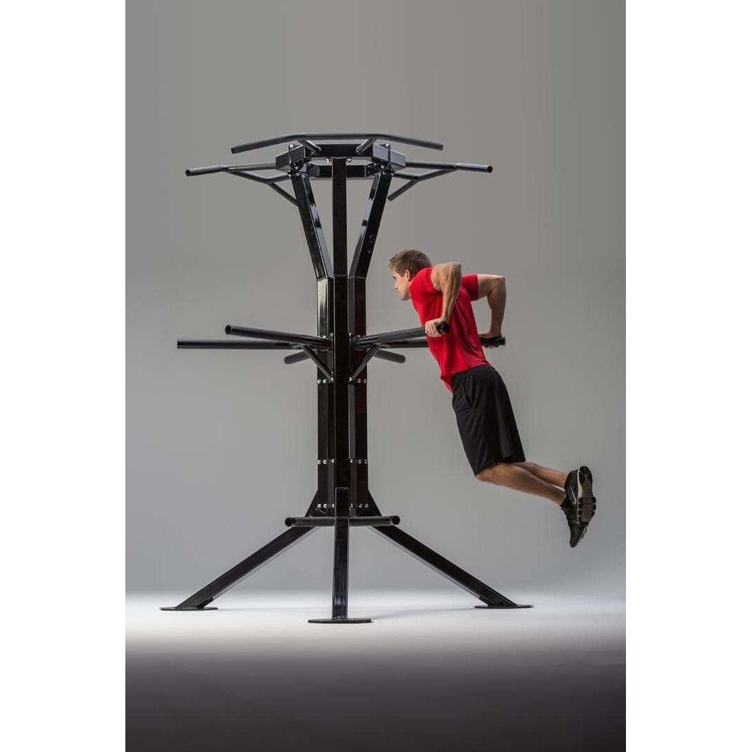 Rogers Athletic Team Six Trainer Chin/Dip Station 410825