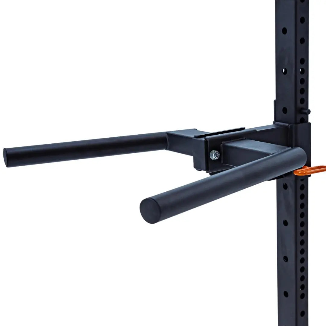 Fringe Sport 2x3 Dip Station